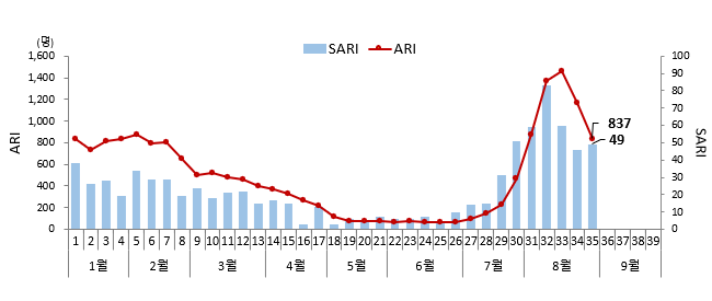 2024년(1.1~8.31) ARI, SARI 주별 코로나 19 입원환자 수