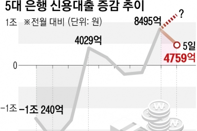 주담대 죄니 신용대출 ‘풍선효과’… 연소득 내로 한도 줄인다