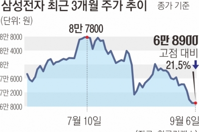 7만 전자·16만 닉스 깨졌다… ‘반도체 피크론’ 고개