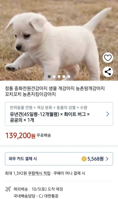 한 오픈마켓에 올라온 강아지 판매 페이지. 생후 45일~12개월령 강아지를 택배로 배송한다고 안내돼 있다. 자료 : 온라인 커뮤니티