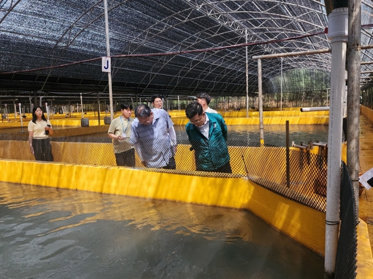고수온 피해 양식장.  전남도 제공