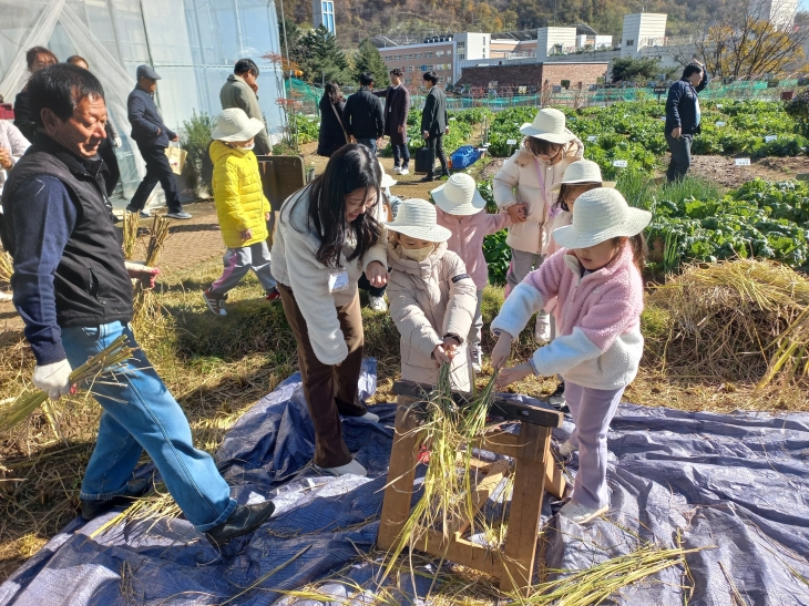 서울 중랑구 어린이들이 홀태를 이용한 탈곡 체험을 하고 있다. 중랑구 제공