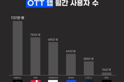 스트리밍·쇼핑·배달까지 고물가에 부담 커지는 ‘구독 서비스’…AI까지 더해지나