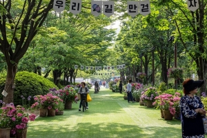 기약 없는 가을... 그래도 가을축제는 온다