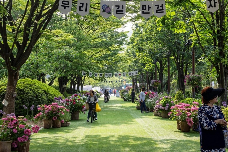 지난 5월 서울 영등포구에서 열린 정원축제 현장. 영등포구 제공