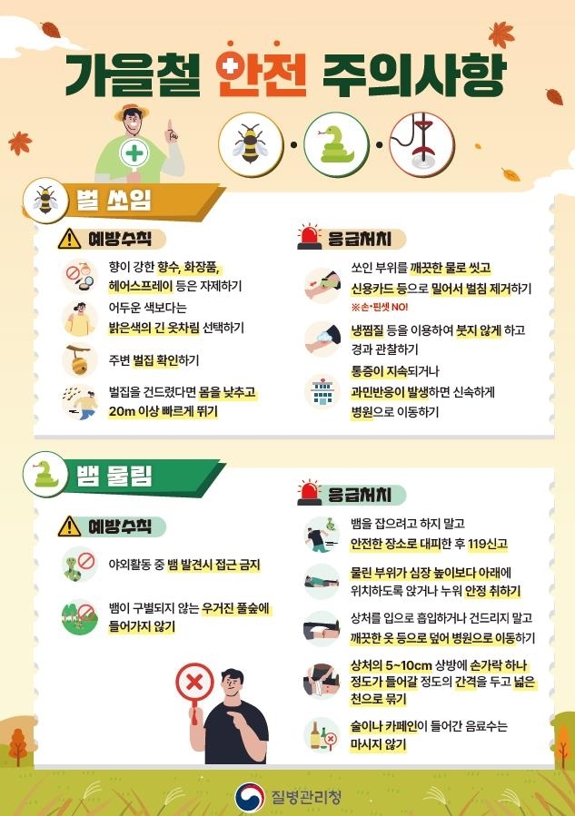 벌 쏘임, 뱀물림 대처 이렇게 하세요 질병관리청 제공