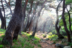 경주 삼릉 숲길 등 가을에 걷기 좋은 ‘국립공원 길’ 7선