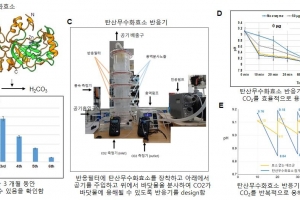 포스텍 연구팀, 지구온난화 주범 ‘이산화탄소’ 바닷물에 녹이는 효소 개발