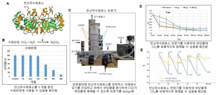 대기 중 이산화탄소 제거 모식도