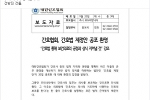 간호사에 “건방진 것들” “그만 나대라”…의협 부회장, 고발 당했다