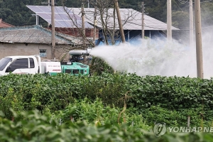 경북도,  문경지역 소에 백신 긴급접종…인접 충주 럼피스킨 발생