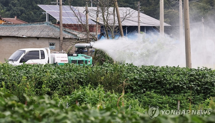 럼피스킨 방역. 연합뉴스