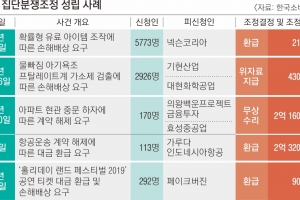 ‘넥슨 메이플’ 피해자 80만명, 보상금 219억원 환급받는다