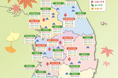 내장산 단풍 내달 25일…올가을 단풍 10월 말 ‘절정’