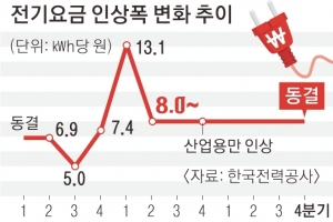 ‘폭염고지서 폭탄’에 전기요금 일단 동결… 연내 인상 가능성은 여전