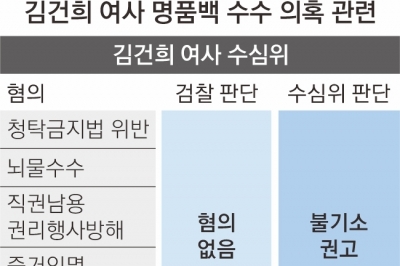 수심위 “직무 관련성 없어도 기소 가능”에… 檢 ‘명품백 딜레마’