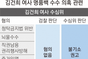 수심위 “직무 관련성 없어도 기소 가능”에… 檢 ‘명품백 딜레마’