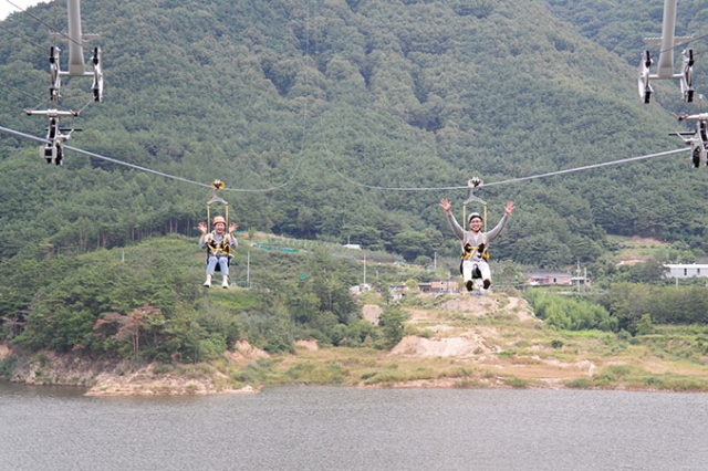 경북 영천시 화북면 보현산 자락에 설치된 보현산댐 짚와이어가 이색 레포츠 체험시설로 각광받고 있다. 영천시 제공