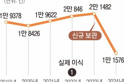 “제대혈 보관 지금 아니면 못 해요”… 공포 마케팅에 수백만원 쓴 부모