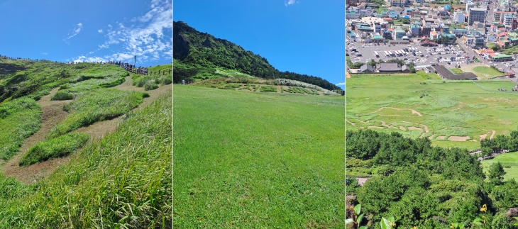 한반도, 혼저옵서예, 동물 문양. 제주도 제공