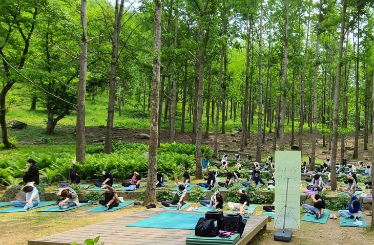 에버랜드 ‘포레스트 캠프’ 은행나무숲에서 참가자들이 명상하는 모습. 삼성물산 리조트부문 제공