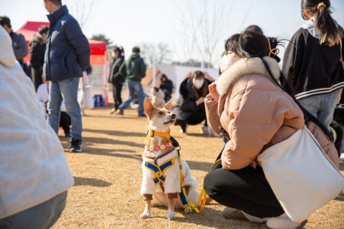 전북 익산시는 올해 3월과 9월 두차례에 걸쳐 반려견과 함께 하는 ‘댕스티벌’을 개최했다. 익산시 블로그