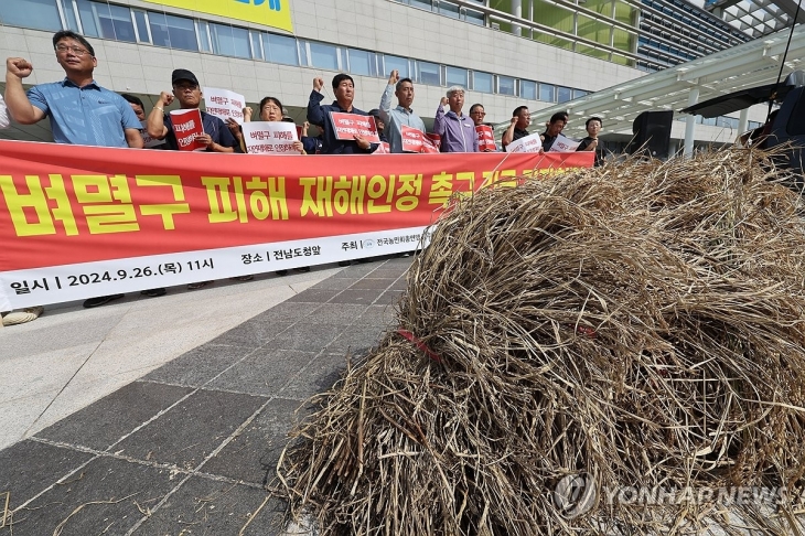 사진은 지난달 26일 전국농민회총연맹 회원들이 전남도청앞에서 벼멸구 피해 재해인정 촉구 기자회견를 하고 있는 모습. 연합뉴스.