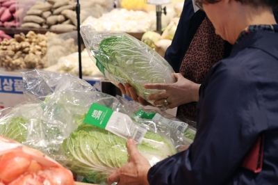 배추 조기출하, 다자녀 전기차보조금 확대…내수회복 총력전