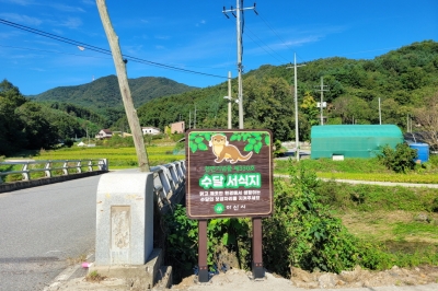 수달 서식지 “청정마을 아산 송악면을 지켜주세요”