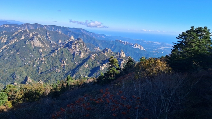 설악산 올해 첫 단풍