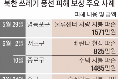 [단독] 혈세 잡아먹는 북한 ‘쓰레기 풍선’…서울시 “보상 규모 1억 2000만원”