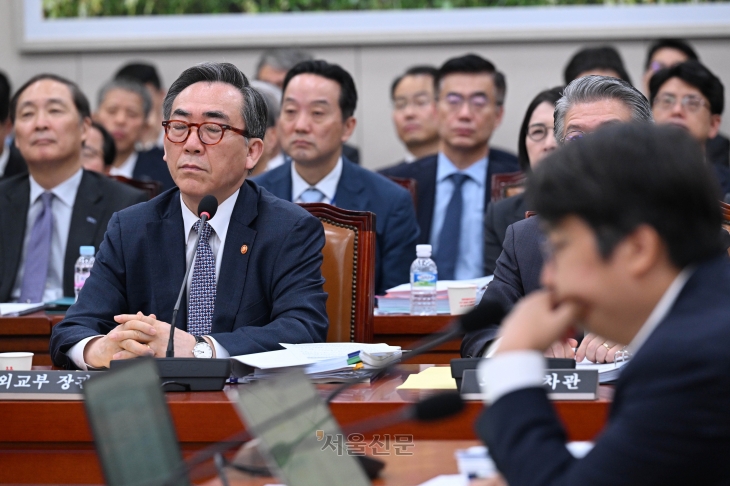 조태열 외교부 장관이 7일 국회에서 열린 외교통일위원회회의 외교부 등에 대한 국정감사에서 의원 질의를 듣고 있다. 2024.10.7 홍윤기 기자