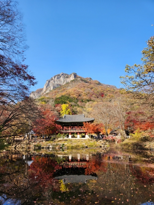 단풍 물든 장성 백양사. 조계종사회복지재단 제공.