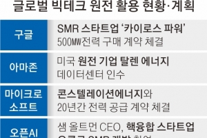 원전에 손 내민 빅테크… 구글, SMR 기업과 첫 계약