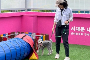 “직장인도 편하게 오세요”…서대문구, ‘내품애 센터’ 저녁 프로그램 개설