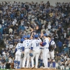 프로야구·축구 인기 폭발… 대구·광주 ‘스포츠 도시’로 떴다