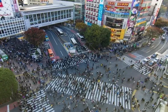 일본 도쿄 시부야 스크램블 교차로. 류재민 기자