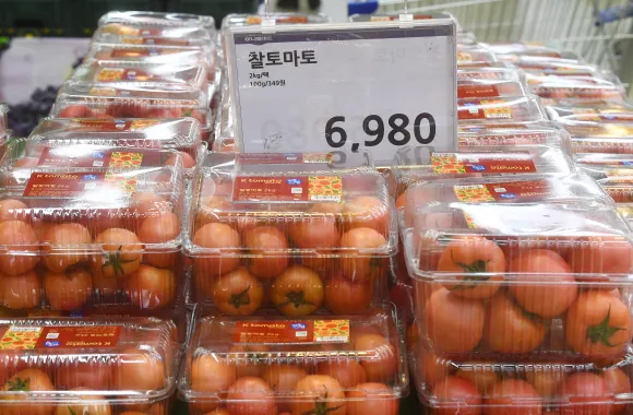 대형마트의 토마토 매대. 서울신문DB