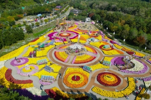 인제 가을꽃축제 24만명 방문…오늘 폐막