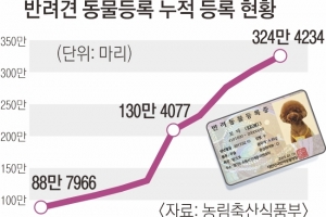 반려견 아직 500만마리 미등록… 유인책 미흡해 신규등록 둔화