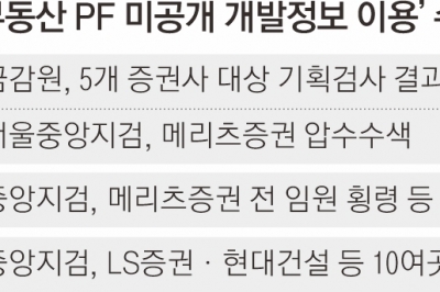 미공개 부동산 정보로 500억 챙긴 임원… 檢, LS증권 등 압수수색