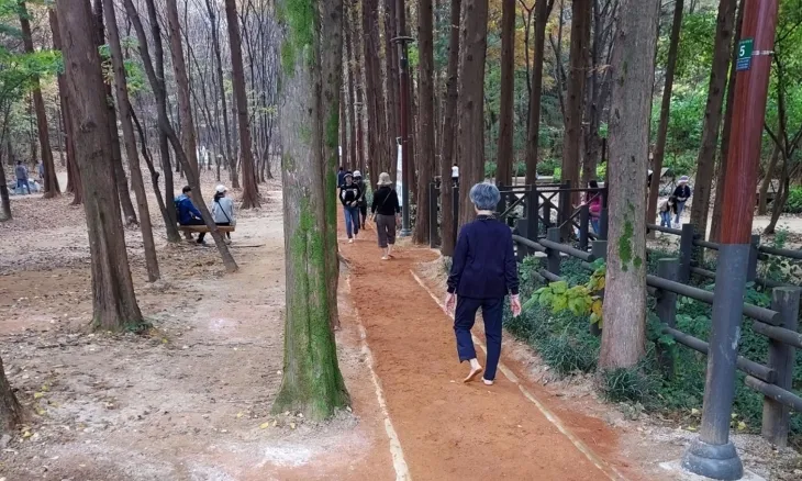 서울 강동구가 명일근린공원에 조성한 황톳길을 구민들이 걷고 있다. 강동구 제공