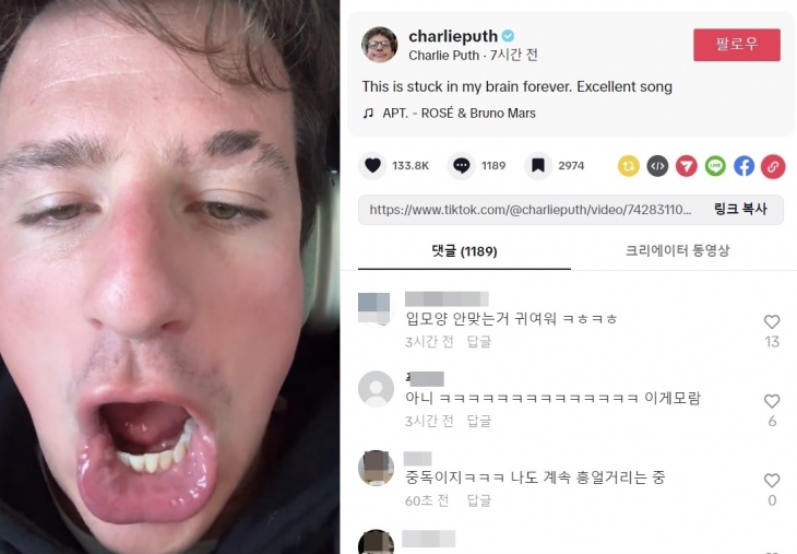 팝스타 찰리 푸스가 자신의 틱톡 계정에 로제와 브루노 마스가 협업한 ‘아파트’의 후렴구를 따라 부르며 “내 머리 속에 영원히 갇혀버렸다”고 적었다. 자료 : 찰리 푸스 틱톡