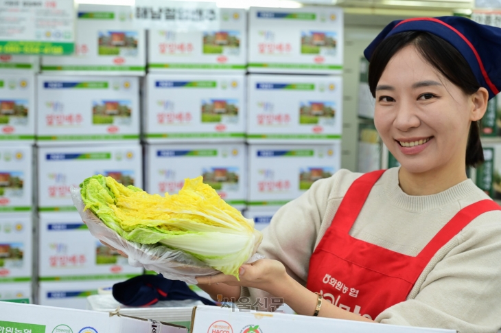 23일 서울 서초구 하나로마트 양재점에서 모델들이 김장철 HACCP 인증 절임 배추 사전 예약 행사를 소개하고 있다. 2024.10.23 하나로마트제공