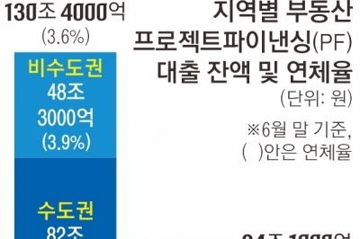 비수도권 대출 48조 돌파…세종 연체율 22% 넘었다