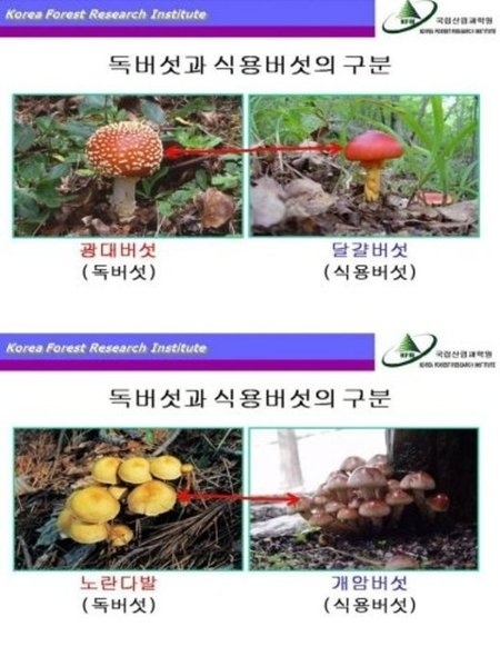 국립산림과학원 제공