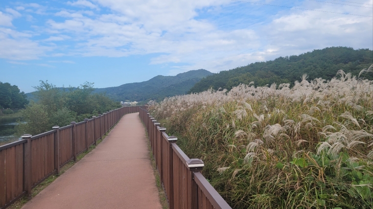 광주호 호수생태원에 설치된 데크길. 광주광역시 제공