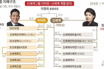 신세계 이마트·백화점 계열 분리… 정용진·정유경 ‘남매 독자경영’