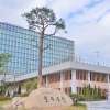 죽은 매 사체에서 고병원성 AI 검출… 올해 울산 야생조류 첫 사례