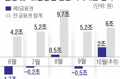 ‘한 달 새 2조’ 불어난 2금융권 가계빚… 연간 대출 목표 받는다